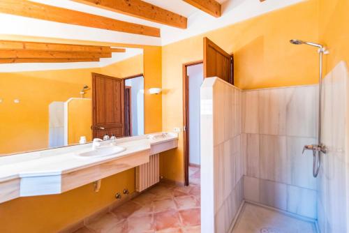 a bathroom with a sink and a shower at Coll den Pastor in Fornalutx