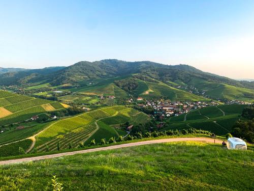a view of a green hill with a village in the distance at Hotel Ritter Durbach in Durbach