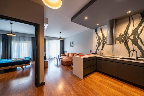 een keuken en een woonkamer met een bank bij Classy, modern furnished residence, 7-24 security BNS115 in Istanbul
