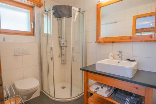 a bathroom with a shower and a sink and a toilet at Hotel Mont Rouge in Nendaz