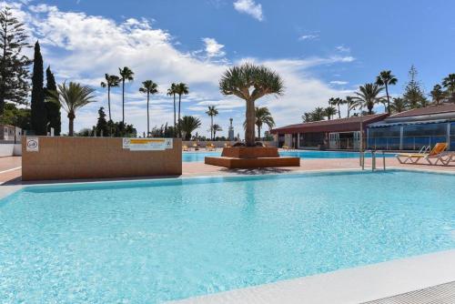 a large swimming pool with palm trees and a building at MY SEA VIEW HOLIDAY APARTMENT in Maspalomas