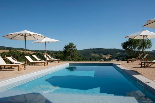 a swimming pool with chairs and umbrellas at Tenuta San Lodovico in Scansano
