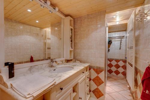 ein Bad mit einem Waschbecken und einer Dusche in der Unterkunft La Forge in Manigod