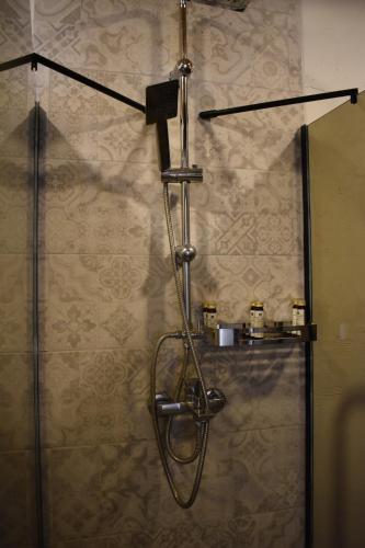 a shower with a shower head in a bathroom at Helvecija 1880 in Vršac