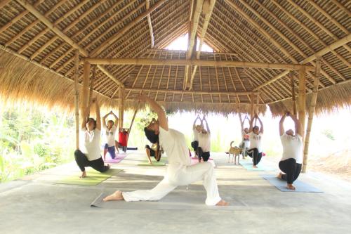 um grupo de pessoas fazendo yoga em um pavilhão em Damuh Pertivi em Lovina