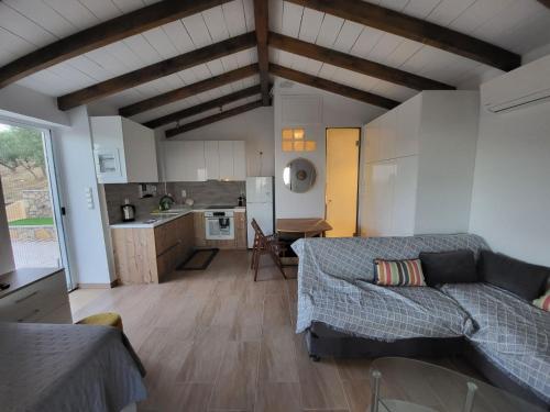 ein Wohnzimmer mit einem Sofa und einer Küche in der Unterkunft Darolio Biofarm in Petalidi
