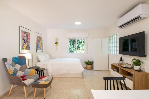 1 dormitorio con 1 cama y TV en una habitación en ירוק באלה - דירת נופש ברמת ישי, en Ramat Yishay