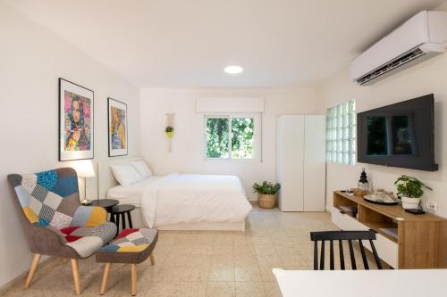 a bedroom with a bed and a tv in a room at ירוק באלה - דירת נופש ברמת ישי in Ramat Yishay