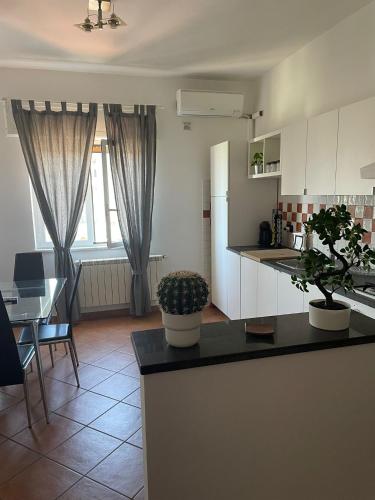MammaRo's House