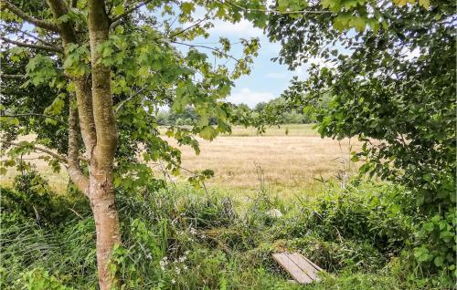 a tree and a bench in a field at Nice Home In Ustka With Wifi in Ustka
