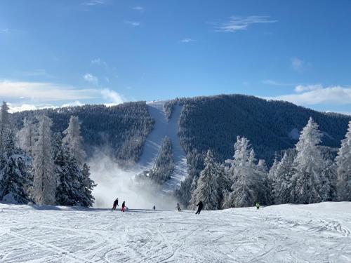 a group of people skiing down a snow covered slope at AlmLust Sternstunden in Hochrindl