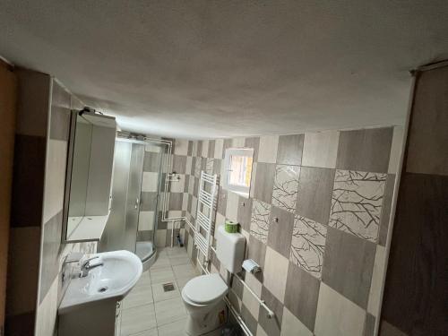 een badkamer met een wastafel en een toilet bij Pensiunea La Nety in Bozovici