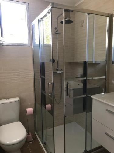 ein Bad mit einem WC und einer Glasdusche in der Unterkunft Villa Niçoise.3P. 5 min de la plage in Nizza
