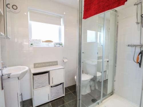 a bathroom with a shower and a toilet and a sink at 30 The Waterside Holiday Park in Lowestoft