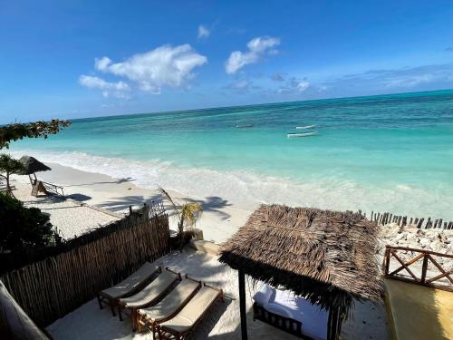 江比阿尼的住宿－Equalia Rose hotel，海滩上设有椅子和草伞,海洋