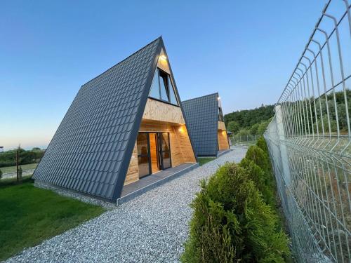 a house shaped like a pyramid with a black roof at Liniștea Muntilor Cartioasra in Cîrţişoara