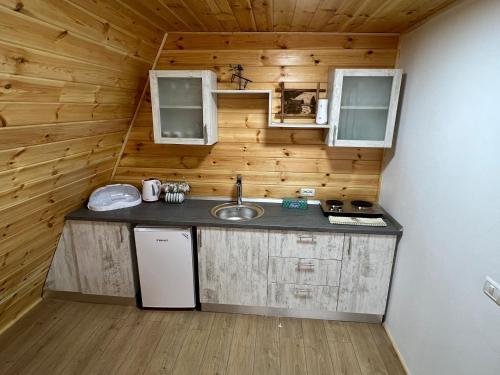 una pequeña cocina con fregadero en una cabaña en Liniștea Muntilor en Cîrţişoara