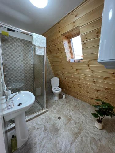 a bathroom with a white sink and a toilet at Liniștea Muntilor Cartioasra in Cîrţişoara