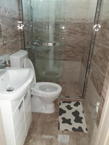 a bathroom with a shower and a toilet and a sink at Apartman tipa studio BMB in Veliko Gradište