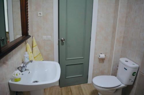 baño con lavabo y aseo y puerta verde en Casa Con Piscina Y Pista De Tenis, en Alhaurín de la Torre