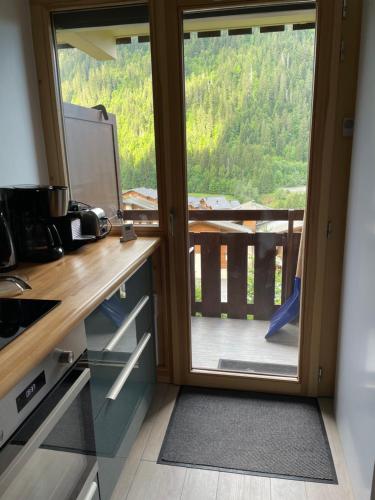 Kuchyň nebo kuchyňský kout v ubytování Chatel - appartement 2 pièces rénové - 4 personnes - proche centre - ménage inclus