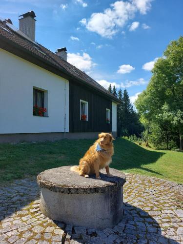 a dog sitting on top of a stone pillar at Penzion Na Výsluní in Strašín