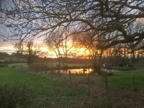 a sunset over a field with a tree and a pond at The Smithy in Snettisham