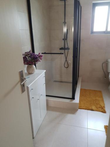 a bathroom with a shower with a glass door at Monte das Flores Casa de Campo in Torre Fundeira