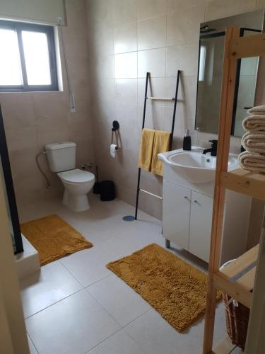 a bathroom with a toilet and a sink and a mirror at Monte das Flores Casa de Campo in Torre Fundeira