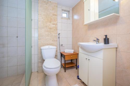 uma casa de banho com um WC e um lavatório em cozy panta em Orestias