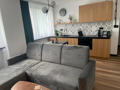 a living room with a couch and a kitchen at Apartamenty Nadrzeczna 14 in Karpacz