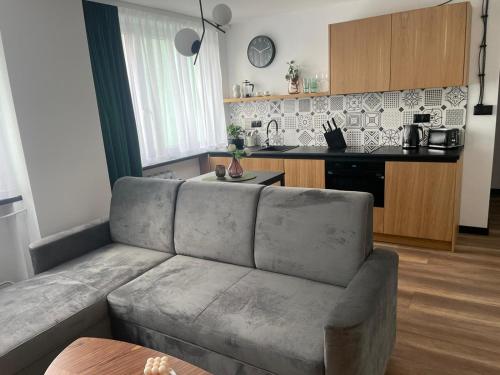 Kuchyňa alebo kuchynka v ubytovaní Apartamenty Nadrzeczna 14