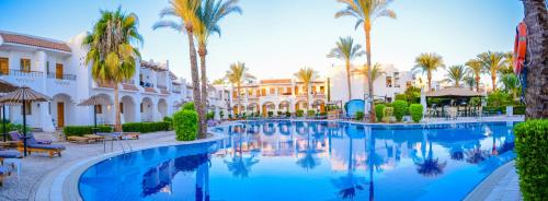 Bazén v ubytování Dive Inn Resort nebo v jeho okolí