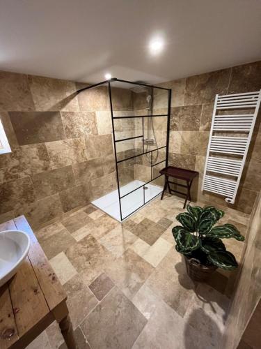 een badkamer met een douche, een wastafel en een plant bij Gite du Chateau La Fon du Berger in Saint-Sauveur