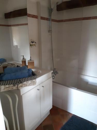 uma casa de banho com um lavatório e uma banheira em Chambres d'Hôtes Domaine du Bois-Basset em Saint-Onen-la-Chapelle