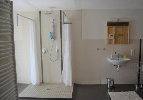 ein Bad mit einer Dusche und einem Waschbecken in der Unterkunft B&B Prosterath-Hochwald in Prosterath