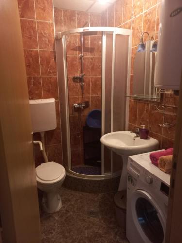 a bathroom with a shower and a toilet and a sink at Apartmani Anja in Ohrid