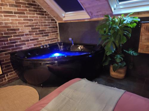 a large bath tub in a room with a plant at La cachette sous les toits balnéo climatisé in Nantes