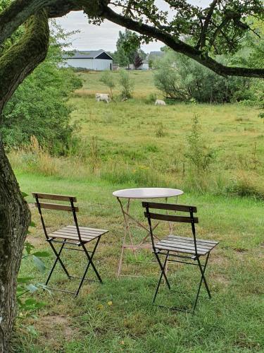 a table and two chairs sitting next to a tree at Skogsbäckens stugby AB in Tomelilla