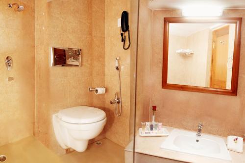 a bathroom with a toilet and a sink and a mirror at Hotel Kalinga Ashok in Bhubaneshwar