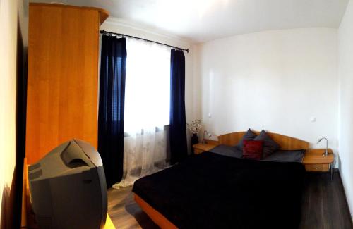 sypialnia z łóżkiem i telewizorem w obiekcie Apartman Chopok w Liptowskim Mikulaszu