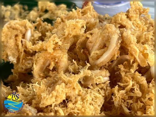a pile of fried onion rings on a plate at Private Pool HS Sweet Homestay Kemaman in Kemaman