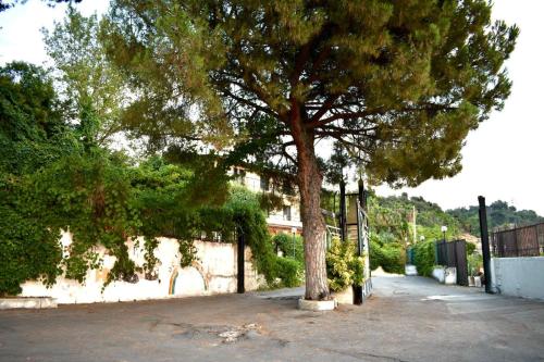 a tree in a parking lot next to a building at Hotel Belvedere in Ercolano