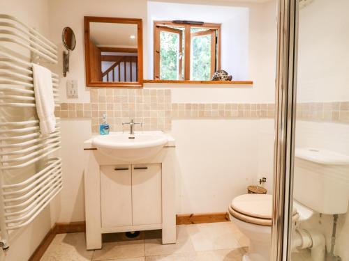 a bathroom with a sink and a toilet and a shower at Lower Rissick Cottage in Penzance
