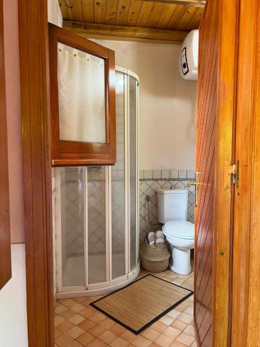 a bathroom with a shower and a toilet at Il carrubo in Trecastagni