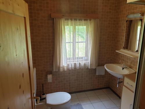 a bathroom with a sink and a toilet and a window at Thaletalm in Innervillgraten