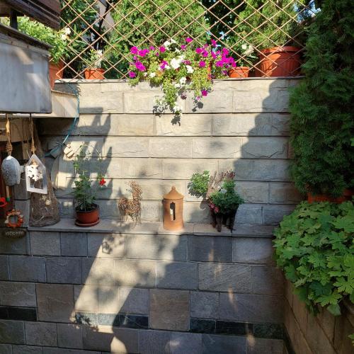 Κήπος έξω από το Guest House Planinski Zdravets