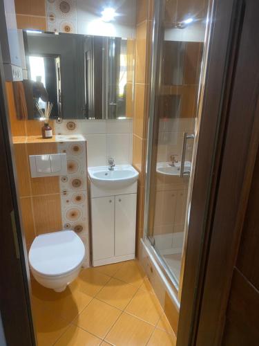 Koupelna v ubytování Apartament Jedności