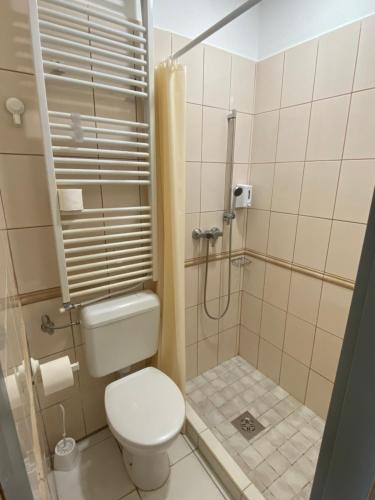 a small bathroom with a toilet and a shower at Kalcit Tourist Motel in Bélapátfalva