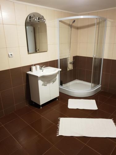 La salle de bains est pourvue d'un lavabo et d'une douche. dans l'établissement Cabana ''langa brad'', à Cavnic